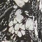 black paisley garden