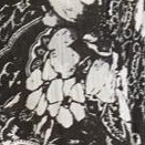 black paisley garden