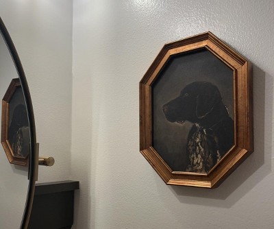 Guest review image 2 of 2, zoom in