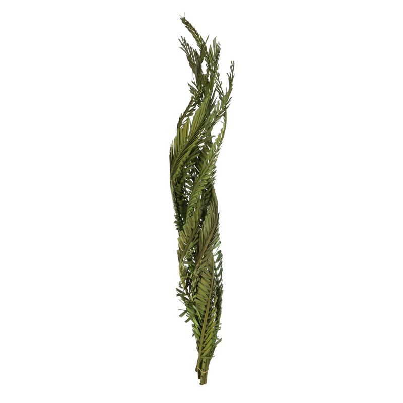 Vickerman 40-48" Twisted Coco Palm Stems, Dried, 1 of 6