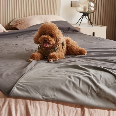 Queen Size Light Gray and Dark Gray Reversible Fleece Blanket