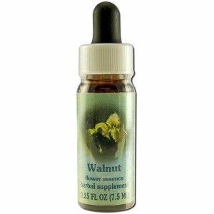 Walnut Dropper by Flower Essence Services  -  0.25 oz Liquid - 1 of 1