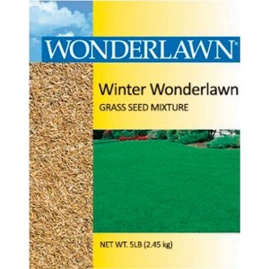 Barenbrug Winter Wonderlawn Italian/Perennial Ryegrass Partial Shade/Sun Grass Seed 5 lb - 1 of 1