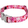 Country Brook Petz Premium Dog Collar - Affection Collection - 3 of 4