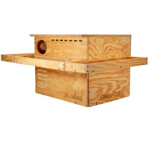 JCs Wildlife 3 Sided Platform Barn Owl Nesting Box - 1 of 4