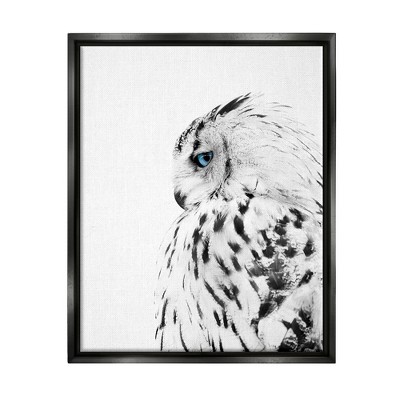 Stupell Industries Snow Owl White Feathers Peering Blue Eyes