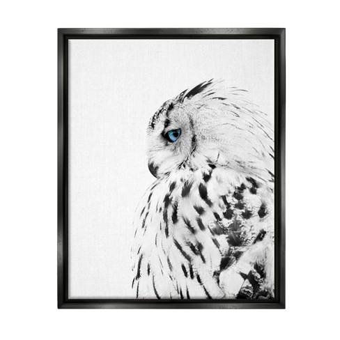 Stupell Industries Snow Owl White Feathers Peering Blue Eyes - image 1 of 4