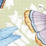 butterflies