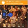 BlueAcorn Indoor/Outdoor Bluetooth LED Globe String Lights for patio, 50ft - 3 of 4
