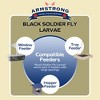 Armstrong Wild Bird Food Black Soldier Fly Larvae, 4lbs - 4 of 4