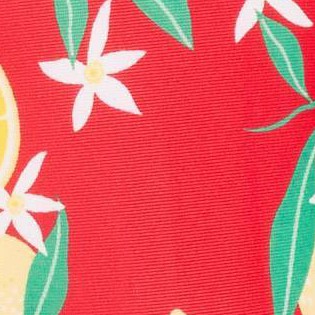 Red Lemon Print