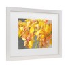 Trademark Fine Art - Danhui Nai Orchid Dreaming Crop Matted Framed Art - 3 of 4