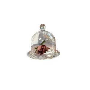Slickblue Glass Dome Display Cloche, Transparent Showcase, Decorative Cover, Clear, Small or Medium - 1 of 4