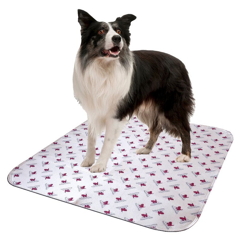 PoochPad Reusable Potty Pad for Mature Dogs, 1 of 2