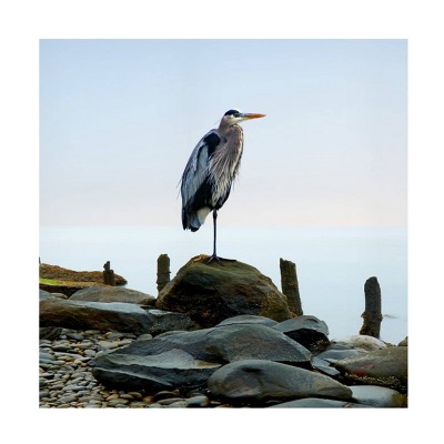 18" x 18" James McLoughlin 'Beachscape Heron' Unframed Wall Canvas - Trademark Fine Art