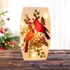 Stony Creek 8.0 Inch Cardinal Christmas Pre-Lit Med Glass Vase Christmas Lighted Glass Accent , Christmas Decor Cardinal Vase Novelty Lighting (1PC) - 2 of 4