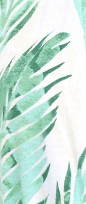 tropical palm leaves