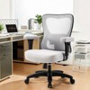 TiramisuBest Large Light Grey Mesh Ergonomic Executive Chair for Heavy Duty People - 2 of 4