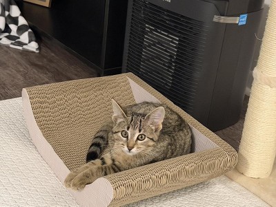 Guest review image 1 of 1, zoom in