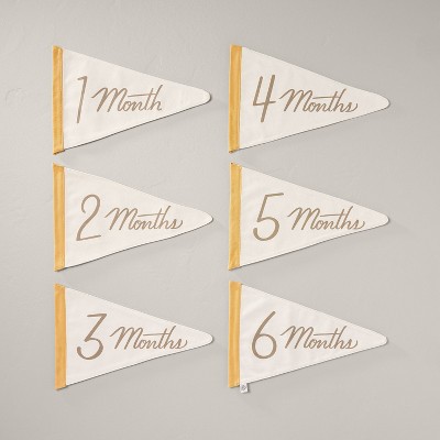 Newborn Milestone Pennants 6pc - Hearth & Hand™ with Magnolia