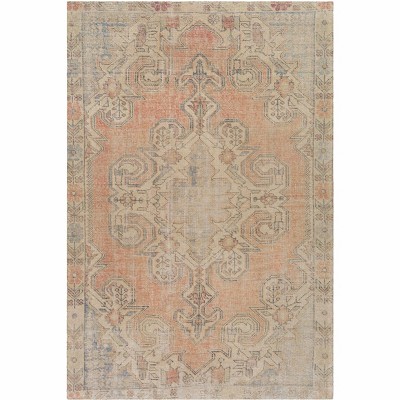 Hauteloom Yetminster Traditional Distressed Peach Rug