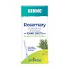 Rosemary, Young Shoots by Boiron Herbal Supplement  -  2 fl oz (60 mL) Liquid - 2 of 4