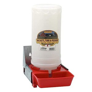 Little Giant 1-Gallon Impact Resistant Translucent Polyethylene Piglet Waterer - 1 of 2