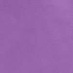 pretty violet