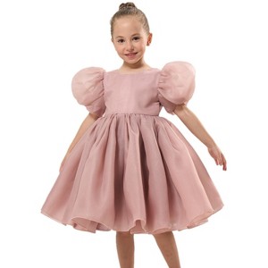2Bunnies Girls' Organza Puff Sleeve Babydoll Fit & Flare Dress - 1 of 4