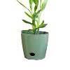 10" Round Self-Watering Indoor/Outdoor Bamboo Plant Pot - 4 of 4