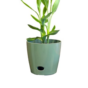 10" Round Self-Watering Indoor/Outdoor Bamboo Plant Pot - 1 of 4