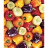 Burpee Pepper Sweet Carnival Blend Vegetable Seeds - 3 of 4