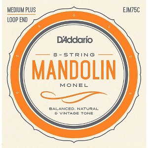 D'Addario Monel Mandolin Strings Medium Plus - 1 of 3