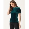 INSPIRE CHIC Women's Short Sleeve Velvet Keyhole Back Ruffle Mock Neck Shirt - 4 of 4