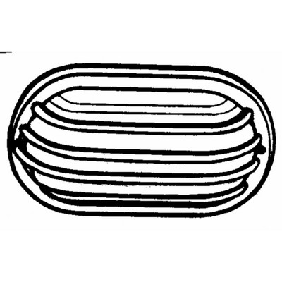 Progress Lighting Westin 1-Light Wall/Ceiling Bulkhead, Ceramic, White, Cage, Wet Rated, UV Stabilized, UL Listed