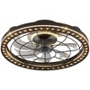 Ludomide  19 In. Smart Low Profile Black Caged Ceiling Fan With Dimmable Led Lights - 2 of 4