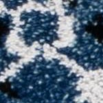 blue/grey