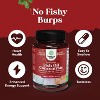 Omega 3 Fish Oil Supplement, EPA DHA Fish Oil Omega 3 Supplement with Immune Booster Brain Vitamins, 2000mg Fish Oil, Nature's Craft, 60ct Softgels - 4 of 4