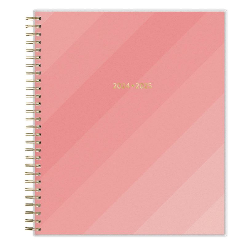 Color Me Courtney for Blue Sky 2024-25 Weekly/Monthly Planner 10&#34;x8&#34; Frosted PP Stepped Pink, 1 of 13