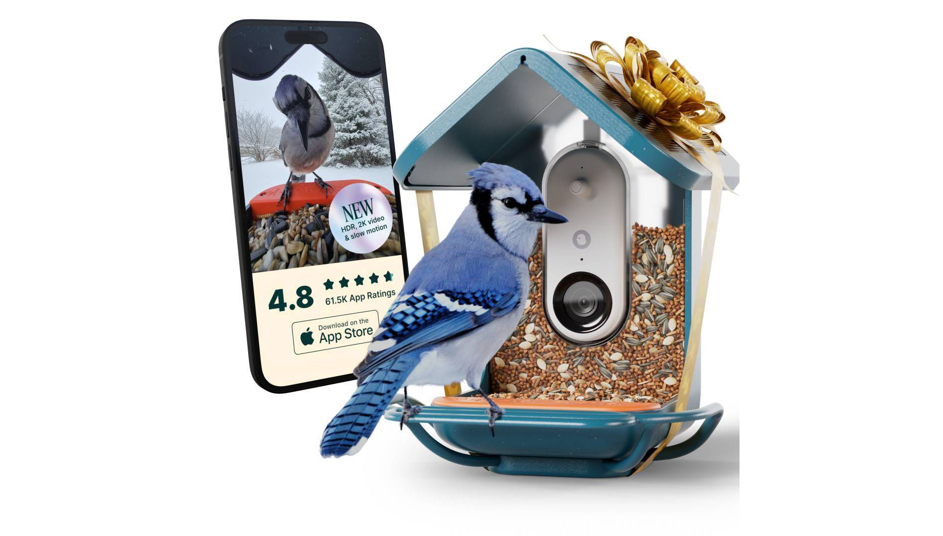 Bird Buddy Smart Bird Feeder with Camera and Solar Roof: Weather-Resistant, Hanging or Pole Mount