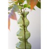 Green Bubble Glass Vase – 13.5" Tall Elegant Home Accent Set of 2 by Kalalou - 4 of 4