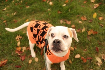 Guest review image 3 of 3, zoom in