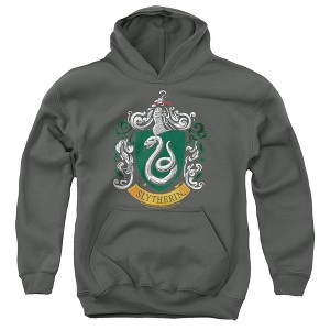 Boys’ Harry Potter Slytherin Crest Hooded Sweatshirt - 1 of 4