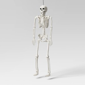 24" Posable Skeleton Halloween Decorative Mannequin - Hyde and EEK! Boutique™: Realistic, Indoor/Outdoor Display - 1 of 3