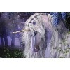 Trends International Laurie Prindle - Moonlight Serenade Unframed Wall Poster Prints - 4 of 4