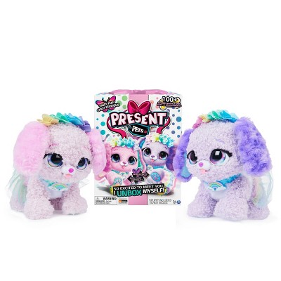 Present Pets - Rainbow Fairy