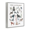Stupell Industries Dog Alphabet Multiple Breeds Educational Animals Chart Framed Giclee Art - 2 of 4
