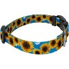 Country Brook Petz Deluxe Dog Collar - Floral Collection - 4 of 4