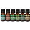 Plantlife Tree Set 6-Pack (Cedarwood, Cypress, Fir Needle, Pine, Rosewood, Spruce) Aromatherapy Essential Oils – No Additives, 10 ml - 2 of 2