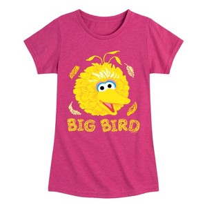 Girls' - Sesame Street - Big Bird Face Fitted Short Sleeve Graphic T-Shirt - 1 of 4